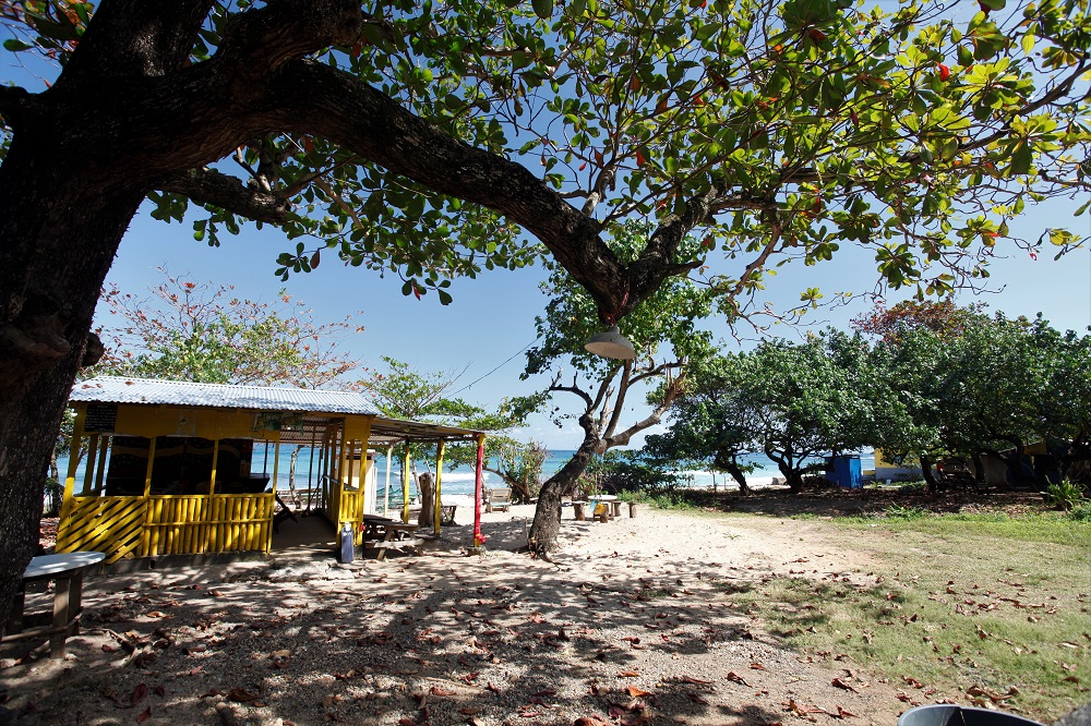 Jamaica Longbay